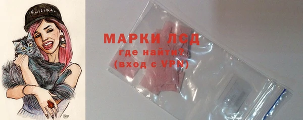 прущие грибы Белоозёрский