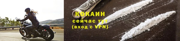 прущие грибы Белоозёрский