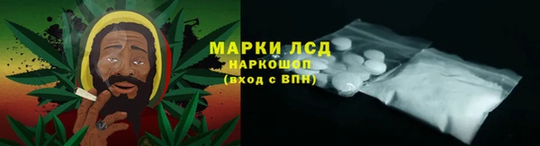 прущие грибы Белоозёрский