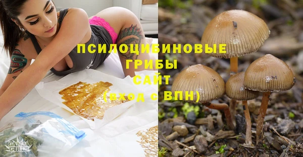 mdma Белокуриха