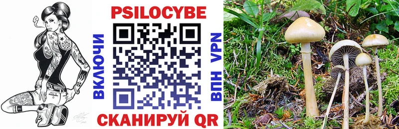 Псилоцибиновые грибы Psilocybe  где купить наркотик  Владимир 